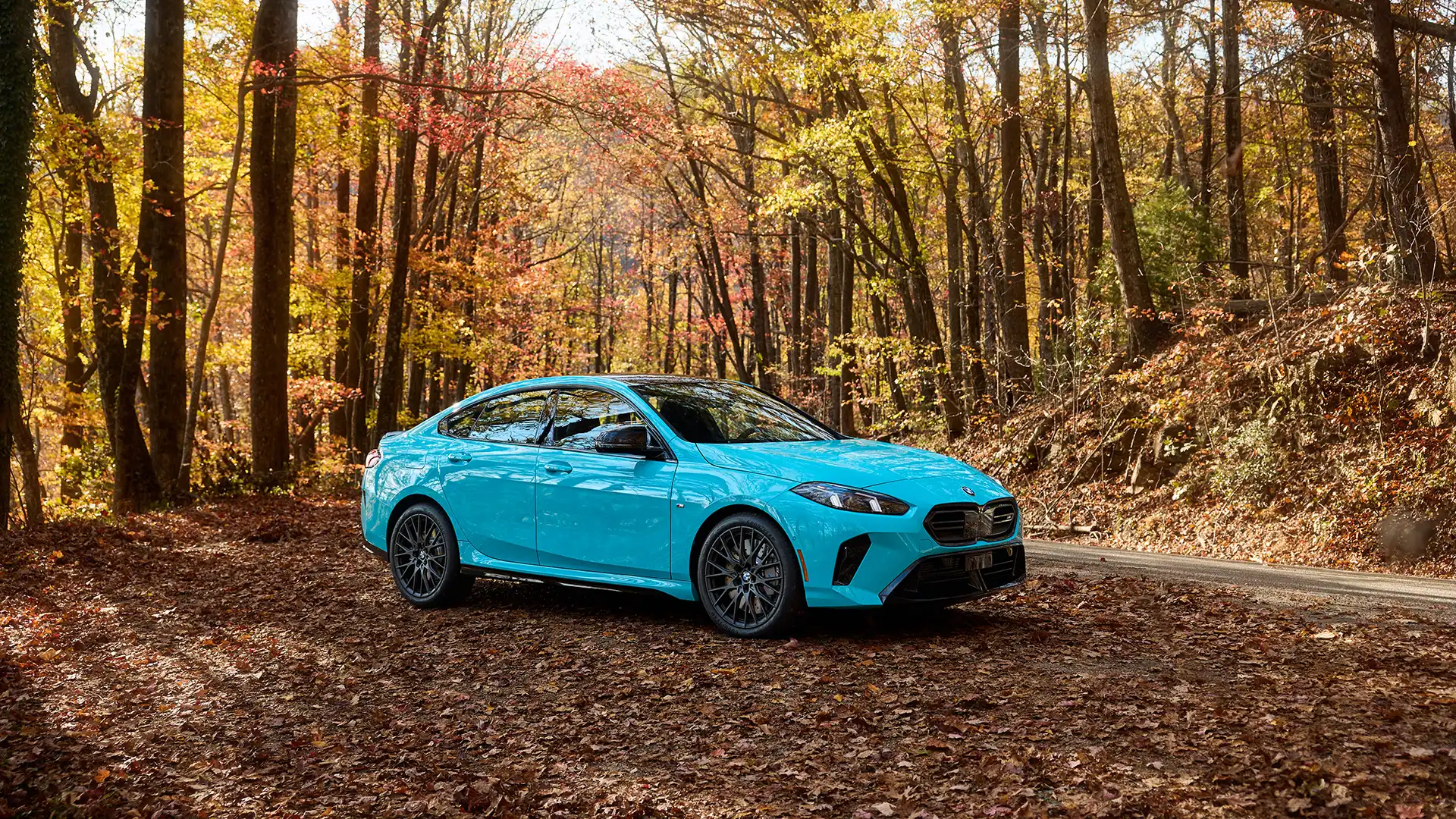 m2.1