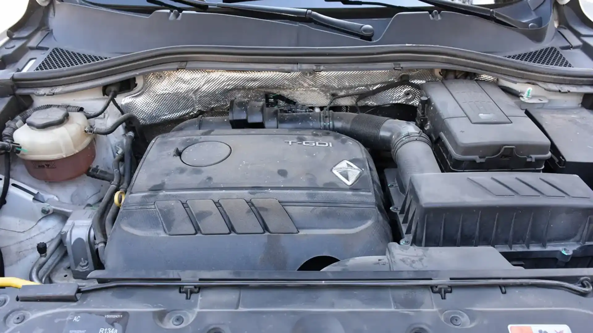 b6